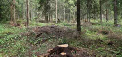 Kellahdenjoen Saanteen niittujen