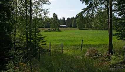 VAIKUTUKSET MAISEMAAN JA KULTTUURIYMPÄRISTÖÖN Kuva 10-2. Peltomaisemaa Ruusulaksossa. Kuva 10-3.