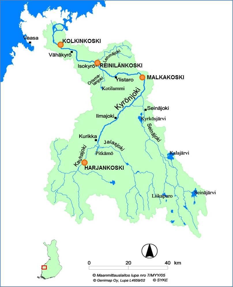 Hapettumisen seurauksena maaperästä vapautuneen happamuuden ja metalleista erityisesti alumiinin huuhtoutuminen vesistöön aiheuttaa toisinaan kalakuolemia (esim. Hudd ym. 1997, Lax ym. 1998).