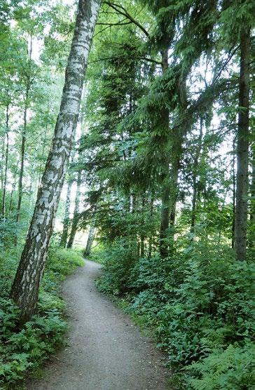 dittava, että pääkäyttötarkoitus ei vaarannu ja että virkistysalueet ovat pääsääntöisesti yleisen virkistyksen käytössä.