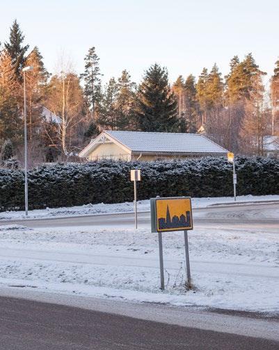 todirektiivin liitteen I luontotyyppi kasvipeitteiset silikaattikalliot ja lintudirektiivin liitteen I lajit.