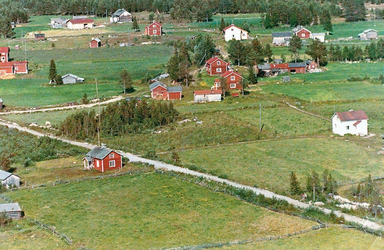 Kuva 6. Ilmakuva Saijasta 1960-luvun alussa. Etualalla Tiihosen Osmon ja Viertolan (Saariniemi) Laurin talot, keskellä Viertolan vanha puoli ja myöhemmin purettu navetta.