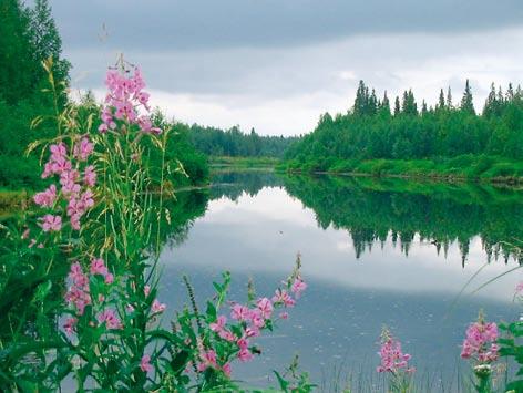 Vesistöt Saijan kylä on keskellä Kemijoen vesistöalueeseen kuuluvaa Kemihaaran valumaaluetta, jonka joet saavat alkunsa Venäjän rajan tuntumasta. Kemijoen vesistöalueen vedet laskevat Perämereen.