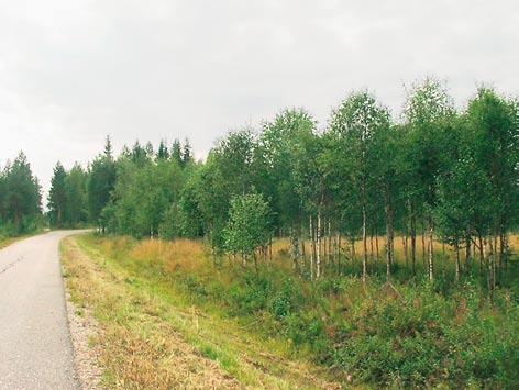 Tiemaiseman rikastaminen Teiden varsilla maaston muodot ovat melko tasaisia ja näkymät putkimaisia.