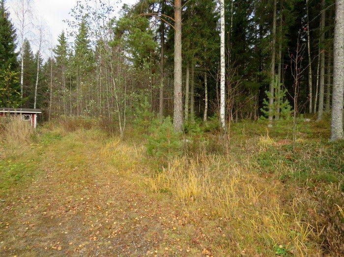 49 Inventointilöydöt: Aiemmat tutkimukset: tarkastus J. Aroalho 99 Maastotiedot: Kohde sijaitsee Vesannon keskustasta 3,6 km kaakkoon Ukkosalmen kohdalla hiekkaisella rinteellä. Talon pihapiiriä.