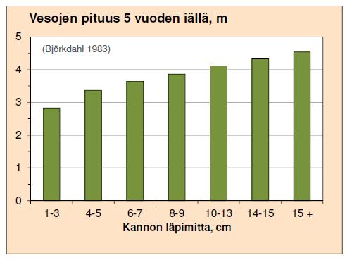 perataan ajoissa Kantoläpimitan vaikutus koivun vesojen pituuskasvuun