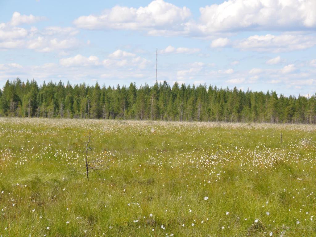 Turvetuotannon vesiensuojelurakenteet ja niiden teho Anssi Karppinen, Suomen