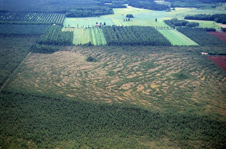 Kuva: Pöyry Environment Oy Luonnonympäristö ja luonnonvarat Lappeenranta, Hyvättilän suo SL, Luonnonsuojelualue / -kohde Merkinnällä osoitetaan