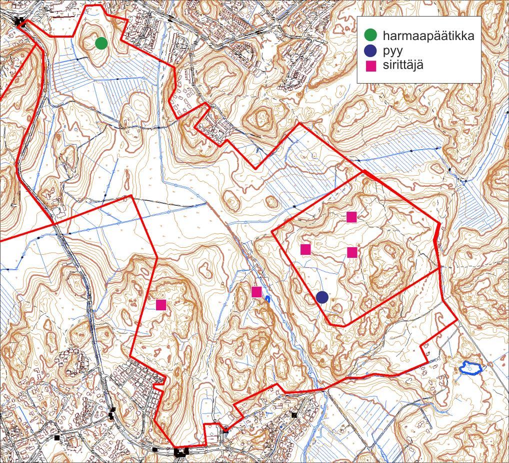 puuiipijä ( reviiriä Finnåbäcenin ojaa reunustavissa uusioissa), töyhtötiainen (muutama ysilö alliomänniöissä), hömötiainen (ainain asi pia) ja idänuunilintu (laulava oiras Finnåbäcenin vrella