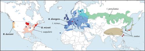 Babesian ja puutiaisten levinneisyys Vannier