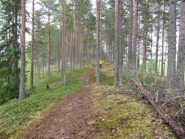 Tapahtuma Kalmosärkille