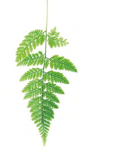 26 MACRO DESIGN FJORD Kuten itse haluat Sinun ehdoillasi Fjord-malliston suihkukaapeissa on suihkuhylly ja piiloviemäri on sijoite u valumarmorialtaan nurkkaan.