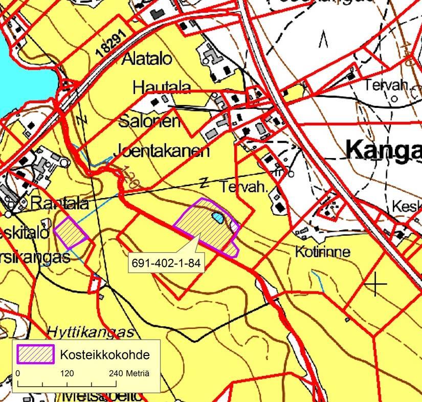 37: Kotijoen koillispuolella alavaa rantapeltoa, missä on mahdollisuus kosteikolle ja alueen