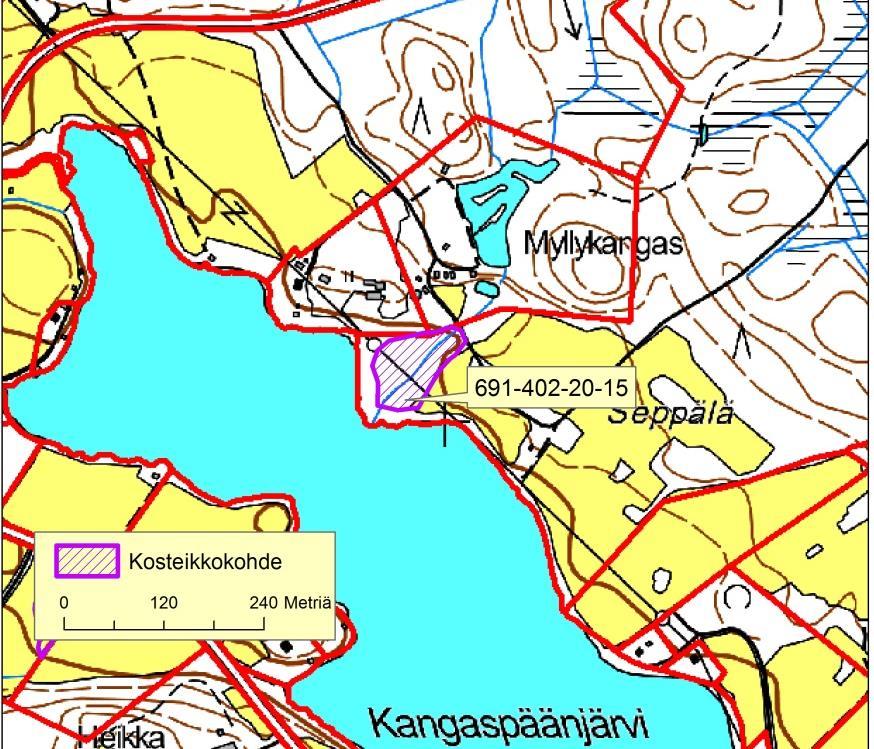 43: Myllykangas: Kangaspäänjärven rannassa on korkeusmallin perusteella hieman alavampi paikka, jossa kosteikkopotentiaalia.