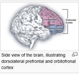 Toiminnan ohjaaminen Executive functions is an umbrella term for cognitive processes that regulate, control, and manage other cognitive processes, such as