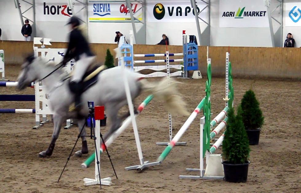 30 KUVA 6. Ensimmäisen estehypyn kuvaaminen epäonnistui. Hess (2014) neuvoo kuvaajaa tekemään aina varasuunnitelman silloin, jos kuvataan eläimiä.