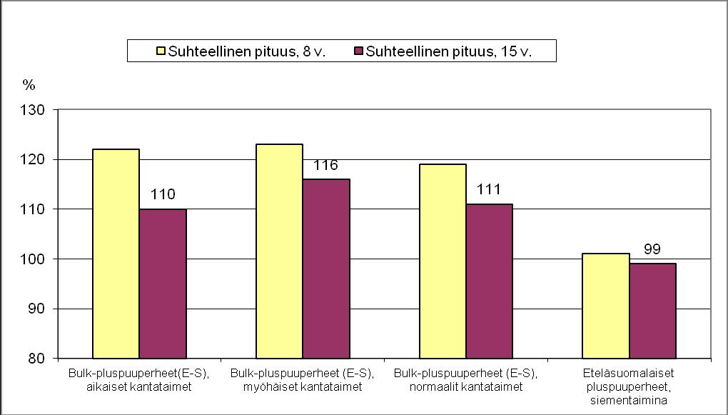 Kasvuunlähdön perusteella tehty kantataimivalinta ei vaikuttanut pistokkaiden kasvuun Lopen Sajaniemen testaustarhan kokeessa 1479/01 (kuva 6).