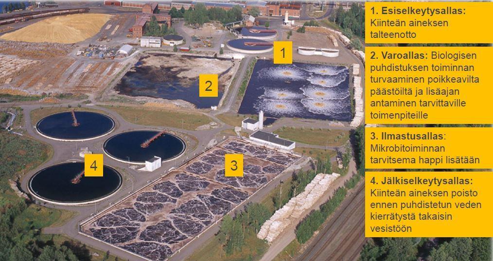 29 (75) 3.7 Kaukaan puhdistusprosessi Kaukaan tehtaiden puhdistamo on otettu käyttöön 1992. Puhdistamo toimii pääpiirteissään samoin kuin aiemmin kuvattu aktiivilieteprosessi.