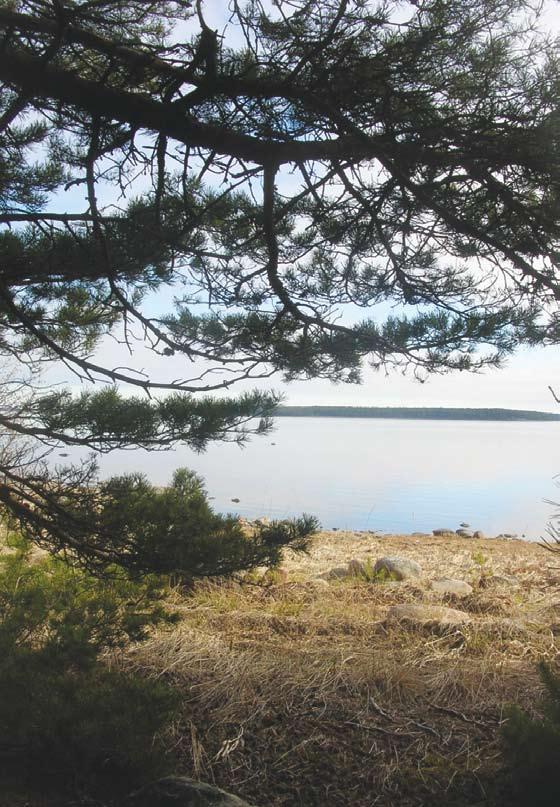 Nötö 3.4.