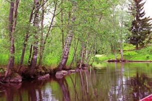 org Facebook: Vaivio-Härkinvaara pj. Reima Karetie Maaherrantie 34 D 83460 Harinjärvi puh. 040 019 9004 reima.karetie@gmail.com siht. Katri Pesonen Pärnävaarantie 55 B 83450 Vaivio puh.