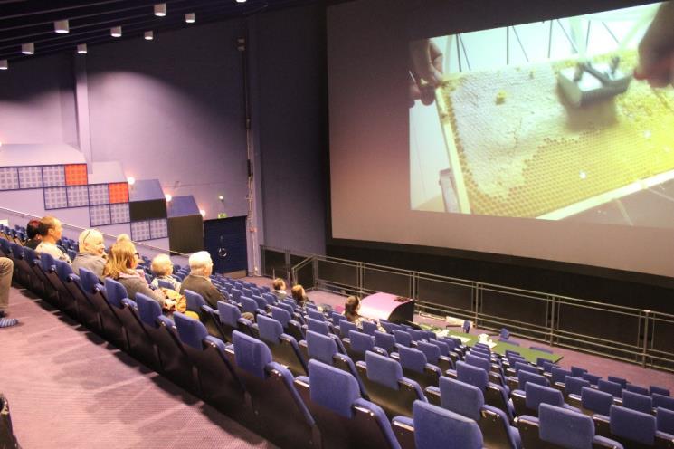 Osallistujat saivat katsella videoita seminaaritauoilla (kuvio 16).