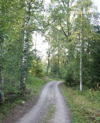 yhdenperheen taloksi. 183_laatikkotehtaantie_55_IM- G_1073J.