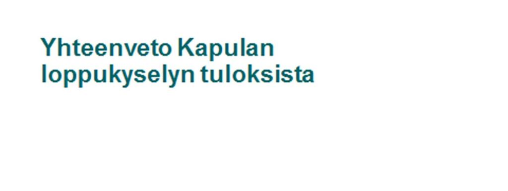 Liite 1 Yhteenveto