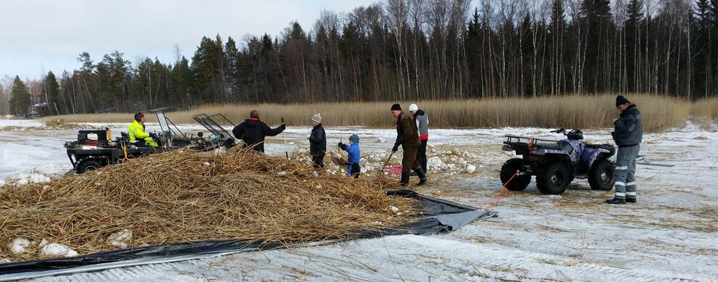 Niittojätteen keruu - Niittojäte on ehdottomasti kerättävä pois vesistöstä!