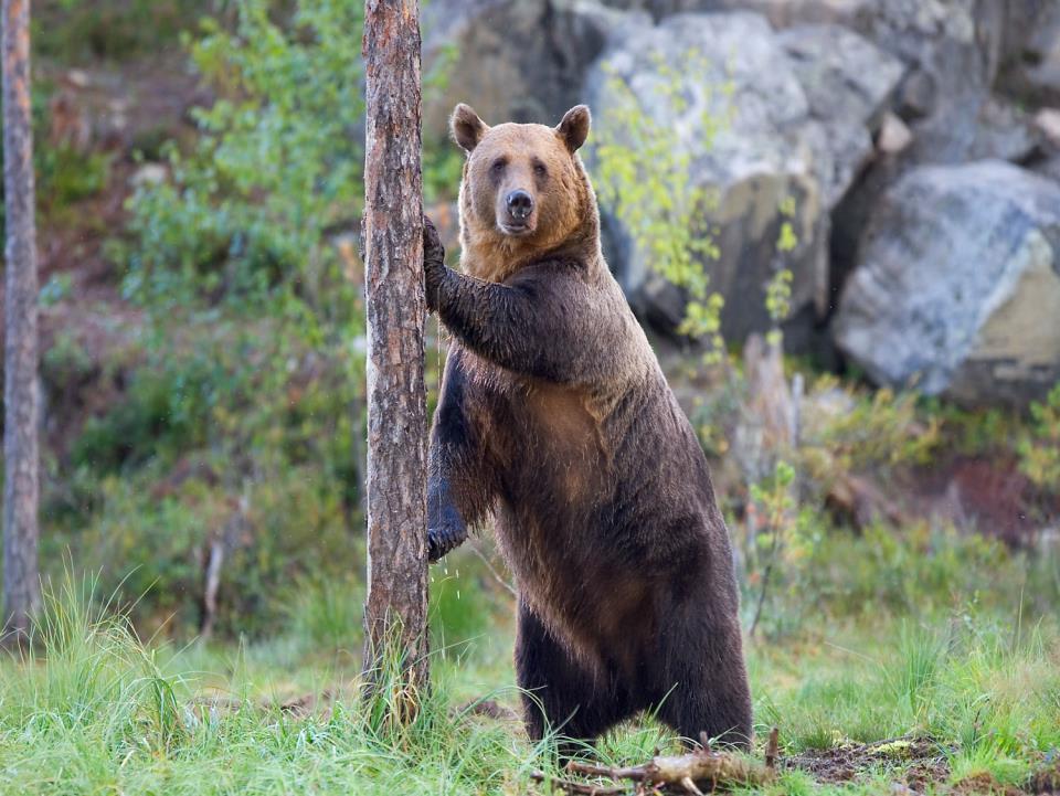 Kiitos!