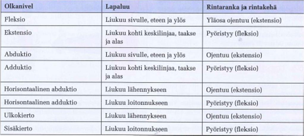 18 Kuva 9. Lapaluun liikkeet. (Hänninen & Koivuranta 2016) Lapaluun lisäksi myös rintarangassa tapahtuu liikettä yläraajan liikkeiden aikana, mahdollistaen yläraajan täyden liikeradan.