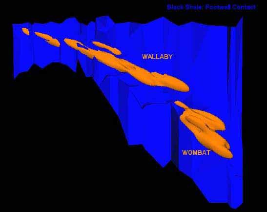 Kylylahden kaivos: Ympäristövaikutusten arviointiselostus 16/128 16 Kuva 4-3. Malmiesiintymän pituusleikkaus katsottuna lännestä (Wombat = syvämalmi ja Wallaby = pintamalmi) 4.