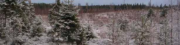 7 Luontoarvot Pohjois-Karjalan ympäristökeskuksen mukaan kaivospiirin alueella ei ole havaintoja uhanalaisista tai harvinaisista kasvilajeista eikä alueella ole tiedossa suojeluohjelmiin kuuluvia tai