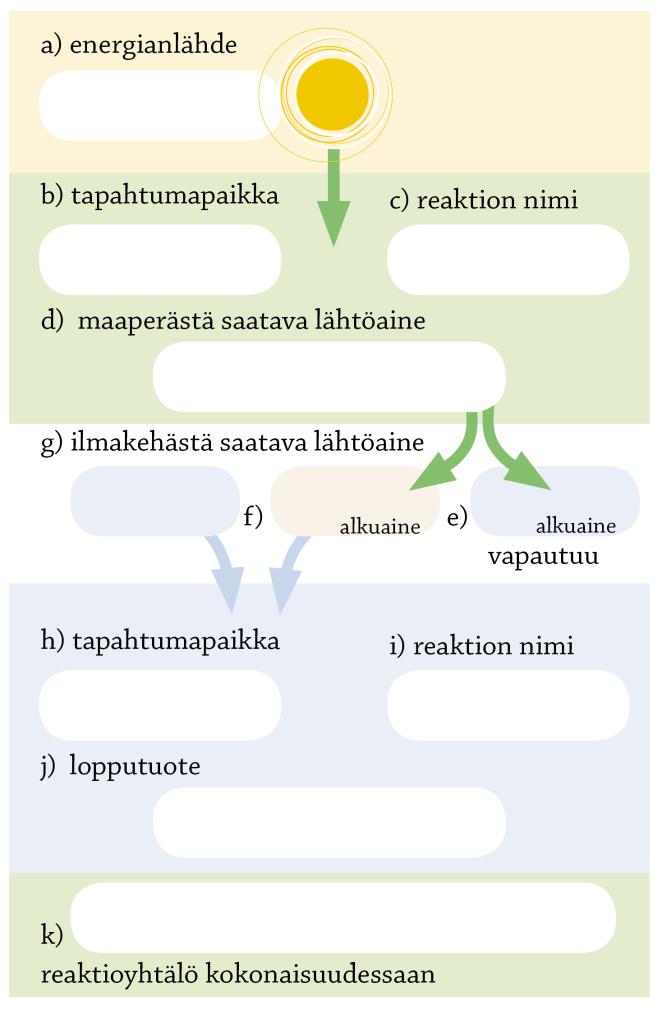 1. Täydennä kaavio Täydennä