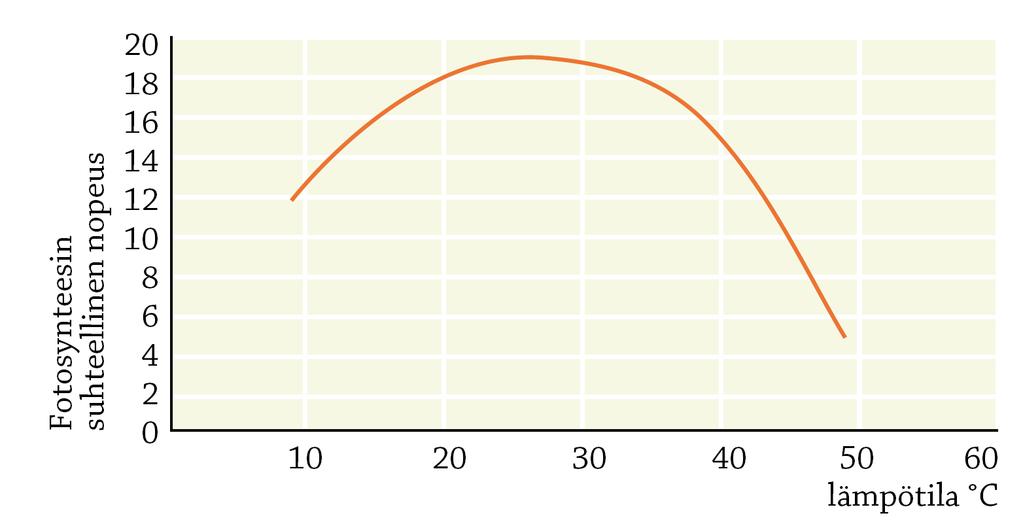 9. Fotosynteesin nopeus (YO-tehtävä S-06) Lämpötila vaikuttaa fotosynteesin nopeuteen pinaatinlehdissä oheisen kaavion mukaan. a) Määrittele fotosynteesi.