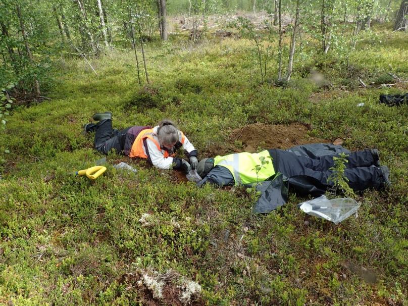 GEOLOGIAN TUTKIMUSKESKUS Ympäristögeologian yksikkö Espoo 12/2017 Kaivosalueiden maaperän taustapitoisuus