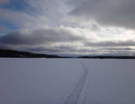 Järven välittömässä läheisyydessä olevat pistekuormittajat ovat Vihdin kirkonkylän puhdistamo Kirkkojärven rannalla ja pieni Hopeaniemen puhdistamo Mustionselän rannalla (vrt. kartta liitteessä 1).