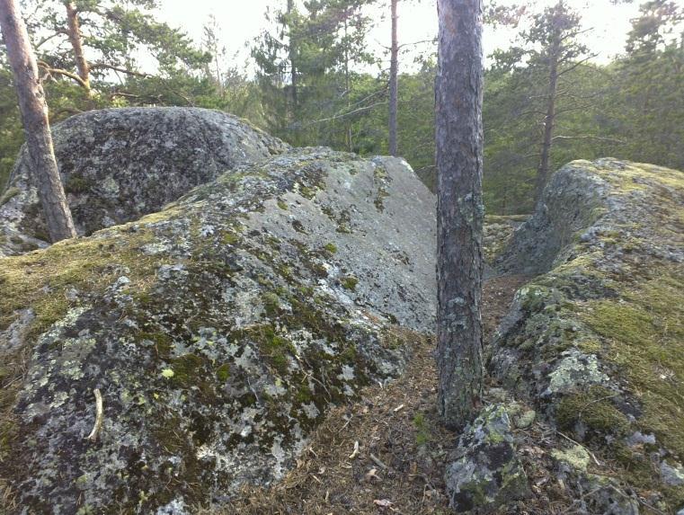 kaiverrukset heti etualan männyn vas.