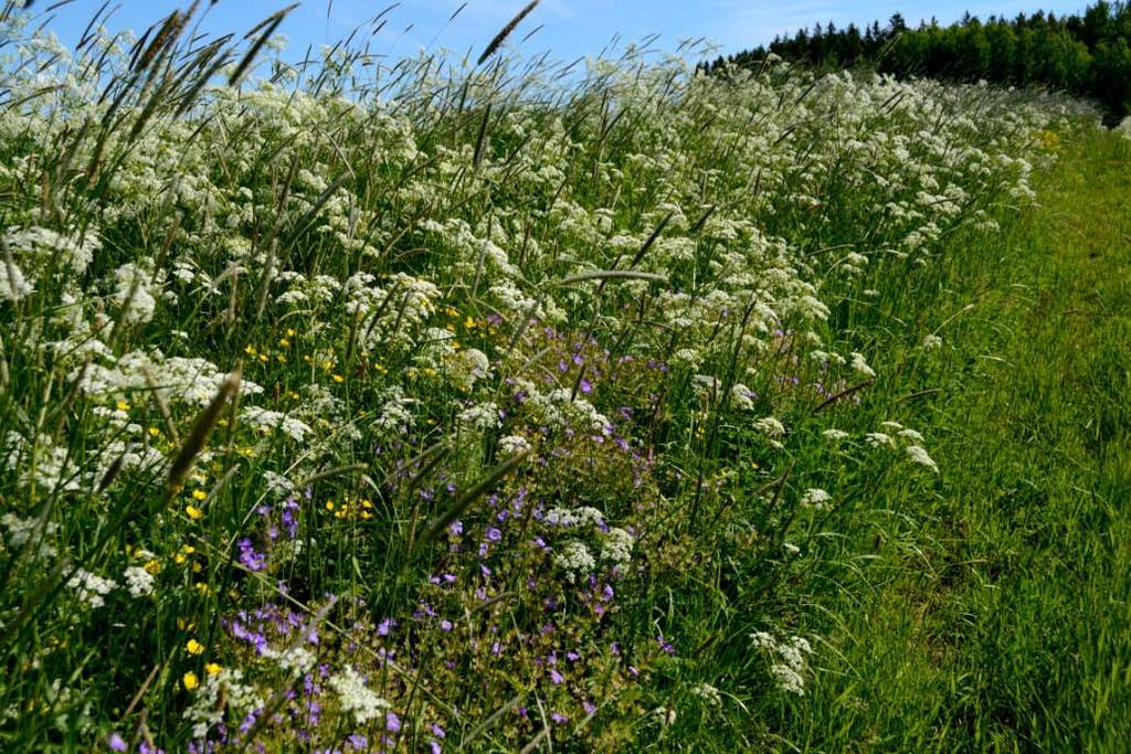 Tanskassa on laajasti tutkittu erilaisia mahdollisuuksia IPM:n toimeenpanoon. Suuri kysymys kaikissa EU -jäsenmaissa on, miten saada viljelijät omaksumaan IPM ajattelutapa.