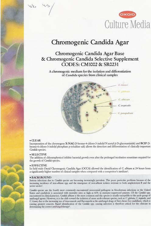 Oxoid / Chromogenic Candida Agar Candida tropicalis Candida dubliniensis Candida albicans Candida krusei / krusei beige / kelt / ruskea Candida