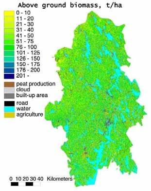 Metsä