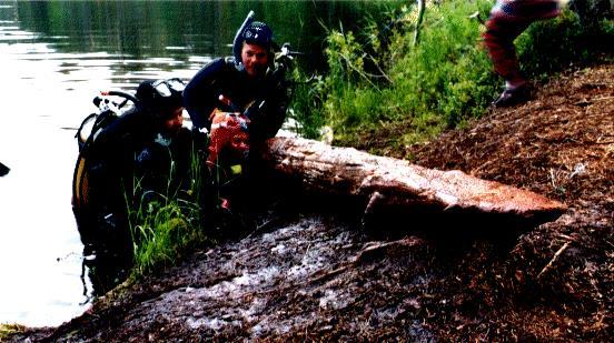 Mauri Timonen YLEN sukeltajia Hossan sukellusleirillä 1996 Kun mänty kaatuu vain puolittain veteen, lahoaa veden yläpuolelle jäänyt osa sopivissa olosuhteissa kuin veitsellä leikaten.