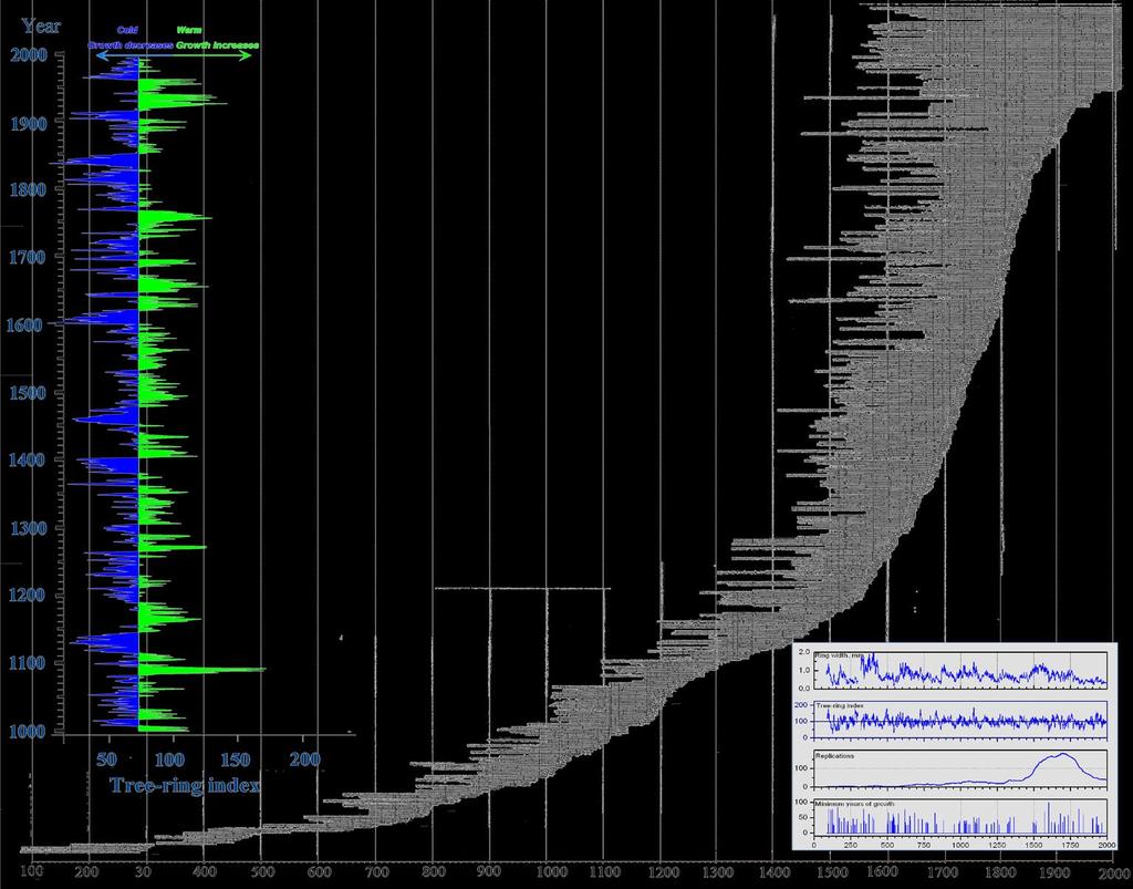 Pitkien vuosilustosarjojen historia Metlassa Vuonna 1994 aloitettiin Kasvun vaihtelun tutkimushankkeessa professori Kari Mielikäisen johdolla työ, jossa koottiin elävien puiden, kelojen, vanhojen