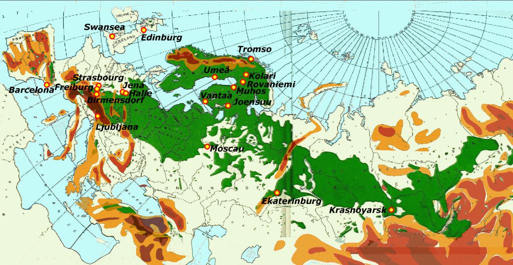 Kotimaisen mäntymme levinneisyysalue tarjoaa mahdollisuuden tehdä yhden puulajin ilmastonmuutostutkimusta pohjoisella havumetsävyöhykkeellä.