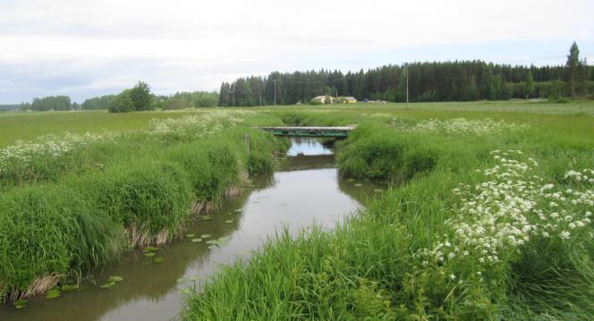 Taustaa toimenpiteiden tarpeelle Loviisanjoen vesitilavuus ei riitä joessa kulkevalle vesimassalle.