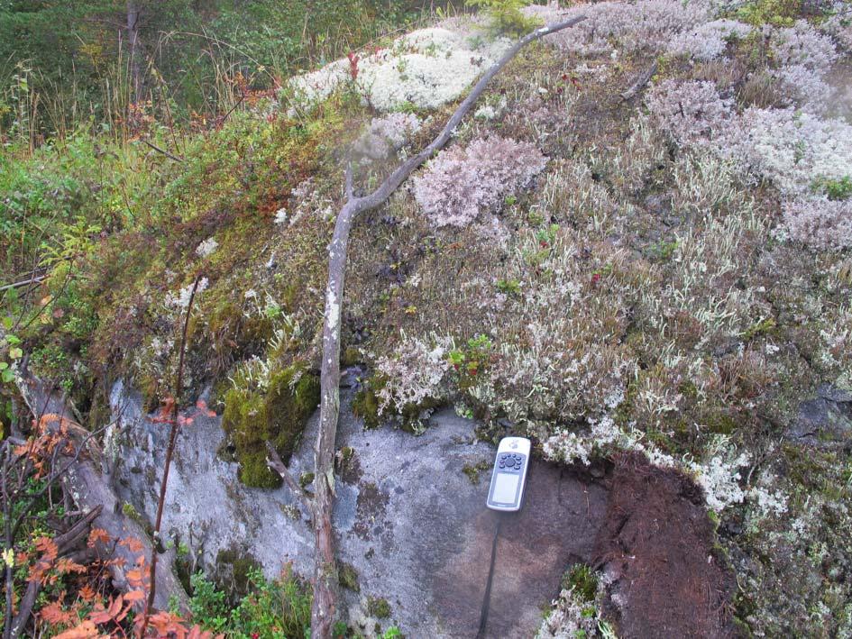 Koidanvaara, Ilomantsi: Mustan kiven tutkimukset