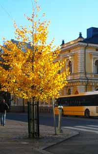 Tavoite Puiden kasvualustarakentamisessa Turku kehittää kantavien kasvualustojen ja kantavien kansien tekniikkaa sekä seuraa aktiivisesti alan kehitystä.