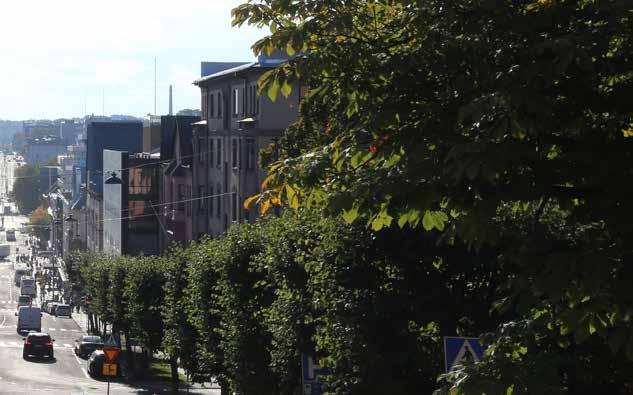 Turun kaupunkipuulinjaus on kaupungin yhteinen tahtotila, jonka päätavoitteena on tietämyksen lisääminen sekä puiden hyvinvoinnin ja arvojen turvaaminen.