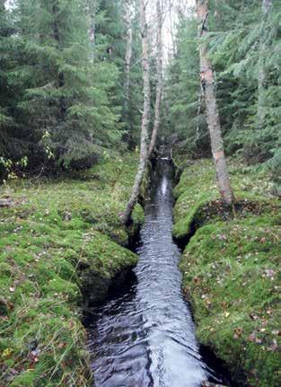 Paholuoma on yläosaltaan suoraksi perattua, mutta