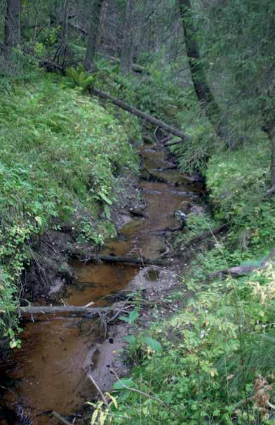 Osa-alue: Syväoja (Liite 1) Pituus: 1,5 km Korkeusero: 15 m ( 1,0 %) Koskipaikkoja: 30 m (2,0 %) Syväoja laskee Karvianjokeen noin kilometrin Paholuoman haaran alapuolella.