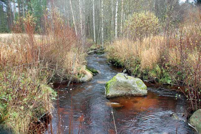 Jakso: Karvianjoki Kiviluoman koskialueen yläosa Kiviluoma laskee Karvianjokeen Vahokosken alapuolella. Joki on noin 15 m leveää ja hidasvirtaista.